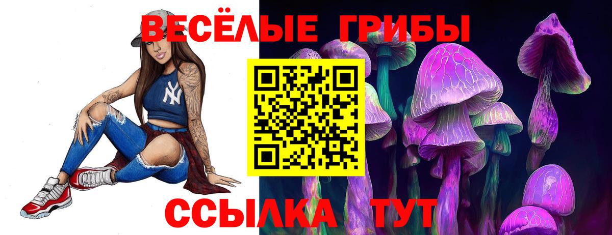 Галлюциногенные грибы мицелий  Вход с VPN  Зеленогорск 