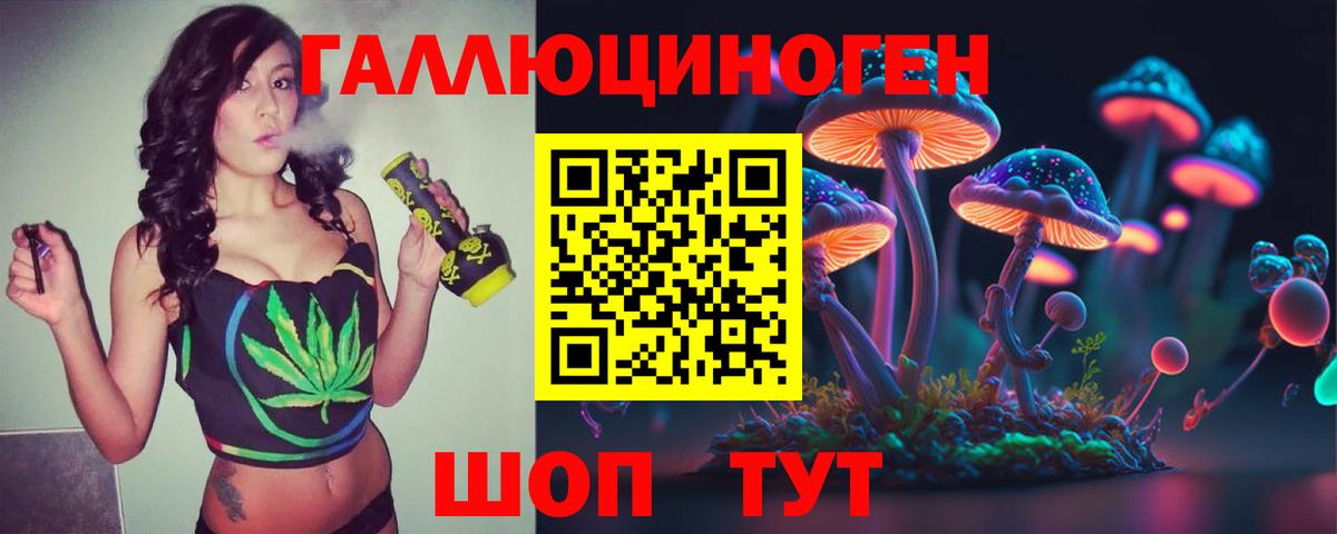 Псилоцибиновые грибы прущие грибы Зеленогорск